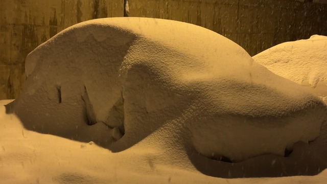 Yüksekova'da kar kalınlığı 40 santimetreyi geçti: Araçlar ve tek katlı evler kara gömüldü