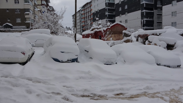 Bitlis'te arabalar ve tek katlı evler kara gömüldü
İl genelinde 290 köy yolu ulaşıma kapandı