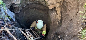 Kırkağaç'ta kuyuya düşen köpek itfaiye ekiplerince kurtarıldı