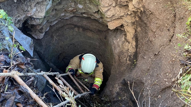 Kırkağaç'ta kuyuya düşen köpek itfaiye ekiplerince kurtarıldı