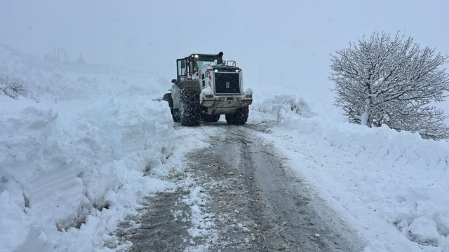 Van, Hakkari, Bitlis ve Muş'ta kar nedeniyle 1493 yerleşim yerinin yolu kapandı