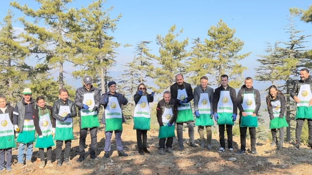 Adana'da bir yılda 50 ton sedir tohumu toprakla buluştu