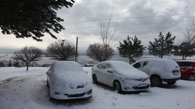 Ahlat kar yağışıyla beyaza büründü