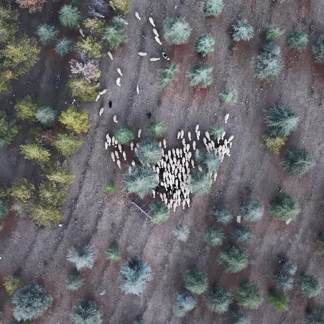 1 milyon 220 bin metrekarelik mera arazisinde "imar planı" iddiası: Müfetti...