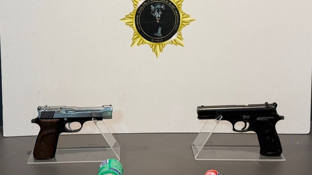 Samsun'da uyuşturucu ve silah operasyonunda 4 kişi gözaltına alındı