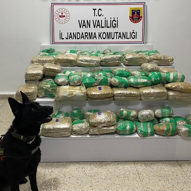 Van'da 51 kilo skunk ele geçirildi