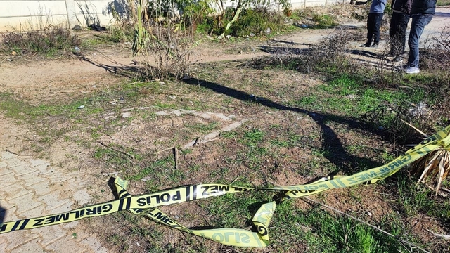 Adana'da bir kadın yol kenarında ölü bulundu