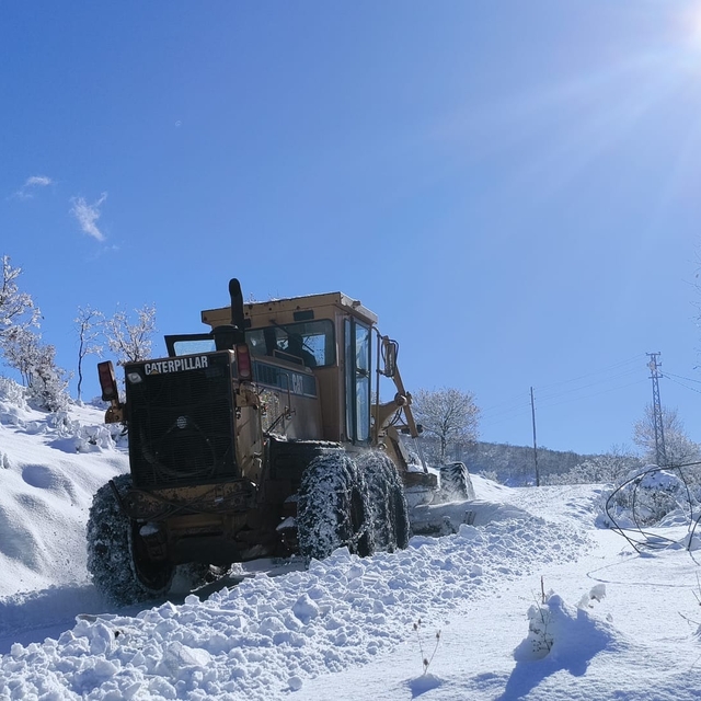 Bingöl'de 20 köy yolu kardan kapandı (2)