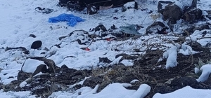 Bingöl'de otomobil şarampole yuvarlandı: 4 yaralı