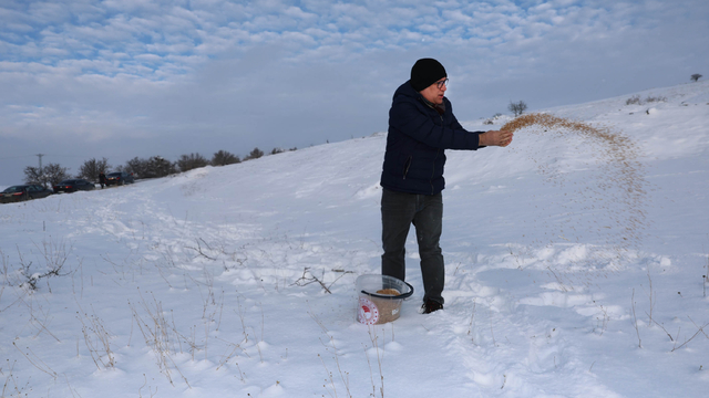Sivas'ta yaban hayvanları için doğaya yem bırakıldı