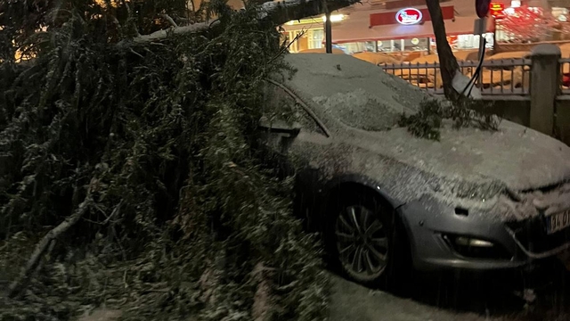 Hastanenin acil servisi önündeki ağacın yarısı koparak devrildi