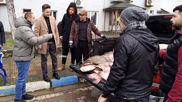 Sinop'ta kaçak avlanan 625 kalkan balığı vatandaşlara dağıtıldı