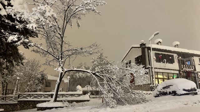 Karabük'te kar ağırlığına dayanamayan çok sayıda ağacın dalların kırıldı
Kar yağışı kentte hayatı olumsuz etkiliyor