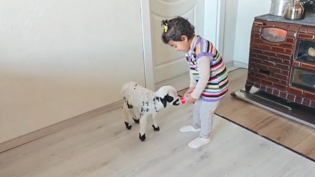Annesinin reddettiği kuzuya 3 yaşındaki Ezo'nun şefkati yürekleri ısıttı