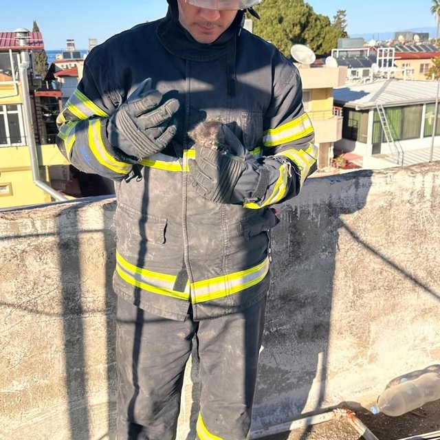 Hatay'da havalandırma boşluğuna düşen yavru kedi kurtarıldı