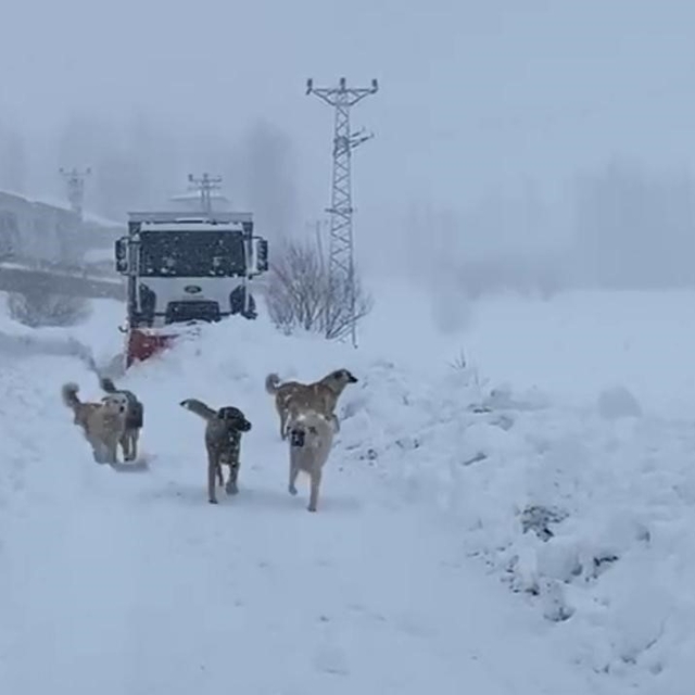 Şırnak'ta kapalı köy yolları dozerlerle açılıyor