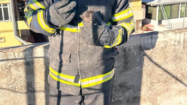 Hatay'da havalandırma boşluğuna düşen yavru kedi kurtarıldı
