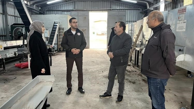 Ceviziyle öne çıkan Gölpazarı'nda üretim zinciri güçleniyor