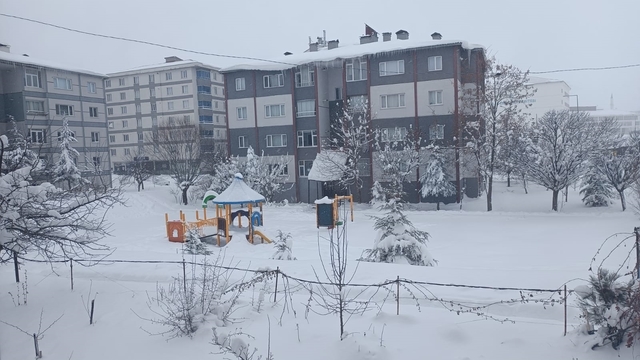 Bitlis'te 203 köy yolu açıldı