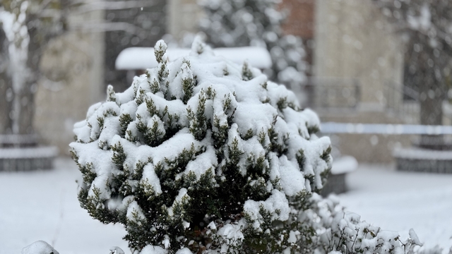Mazıdağı'nda yoğun kar yağışı ve tipi etkili oluyor