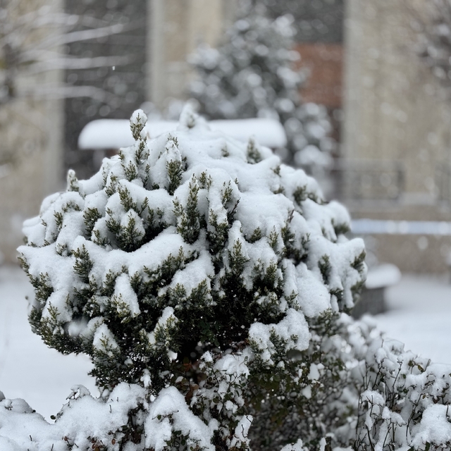 Mazıdağı'nda yoğun kar yağışı ve tipi etkili oluyor