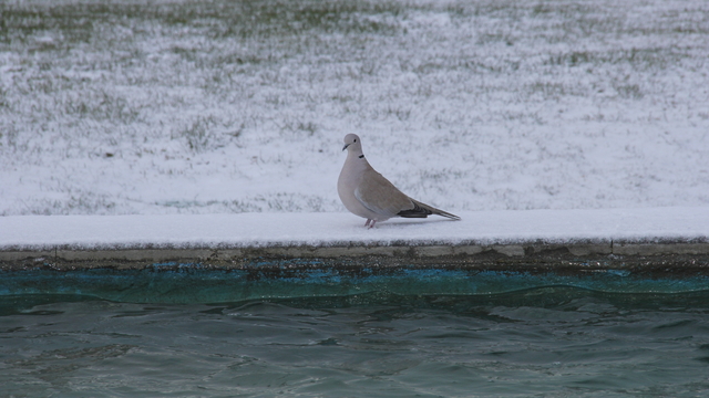 Kayseri'de kar yağışı etkili oldu