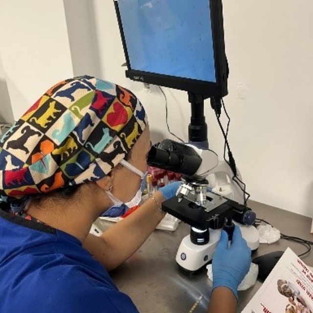 DBB Hayvan Bakımevi 2025'te 10 bini aşkın ihbara müdahale etti