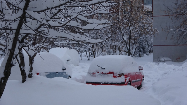 Bitlis'te kar yağışı nedeniyle 87 köy yolu ulaşıma kapandı
Eğitim-öğretime bir gün süreyle ara verildi