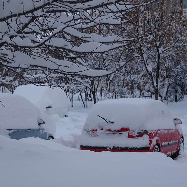 Bitlis'te kar yağışı nedeniyle 87 köy yolu ulaşıma kapandı
Eğitim-öğretime...
