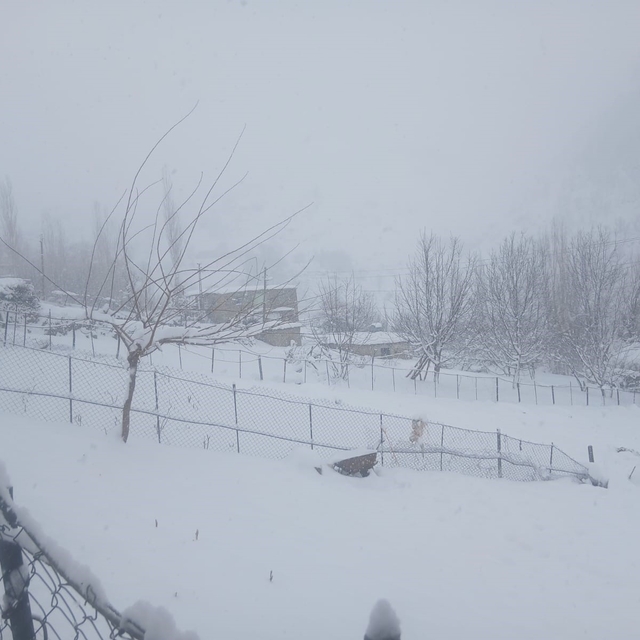 Batman'da kar esareti: 300'ün üzerinde köy ve mezra yolu kapandı