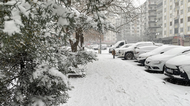 Diyarbakır'da kar yağışı etkili oldu