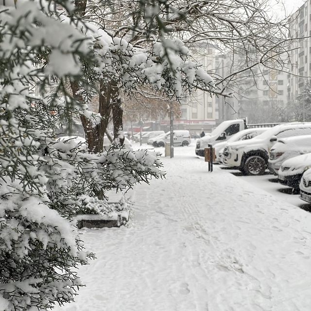 Diyarbakır'da kar yağışı etkili oldu