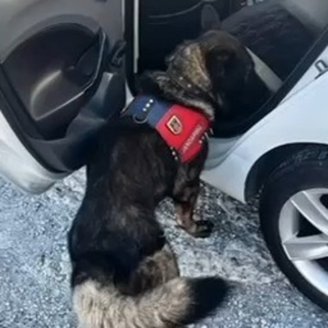 Jandarma tarafından Muğla'da yapılan denetimde bir haftada 80 şahıs yakalan...