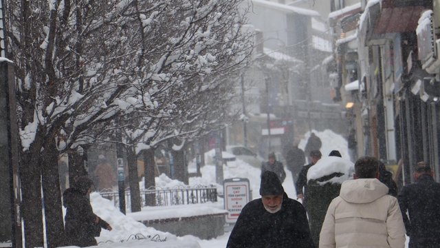 Doğu buz kesti; 2 ilçe eksi 25 dereceyi gördü