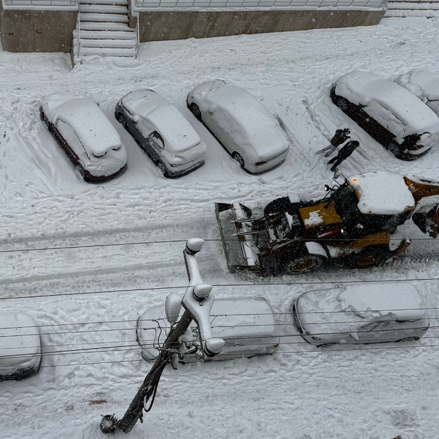 Elazığ, Bingöl, Siirt, Şırnak ve Mardin'de 770 yerleşim yerine ulaşım sağla...