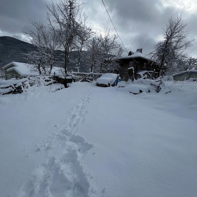 Bartın'da kar yağışı; 44 köy yolu ulaşıma kapandı