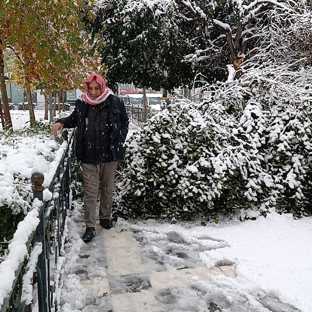 Şanlıurfa'da kar yağışı nedeniyle ağaç devrildi