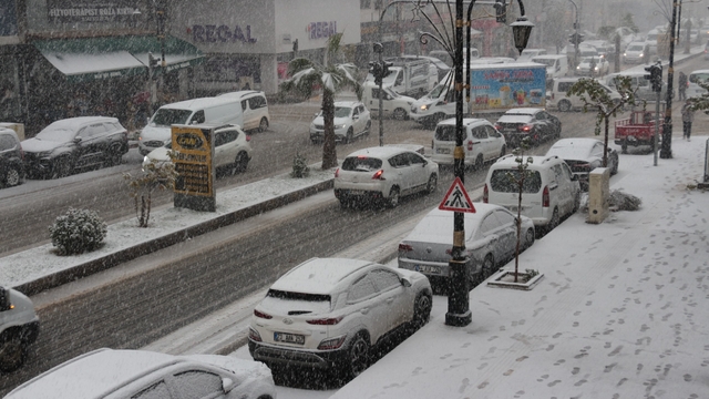 Cizre'de kar yağışı hava ve kara ulaşımını felç etti