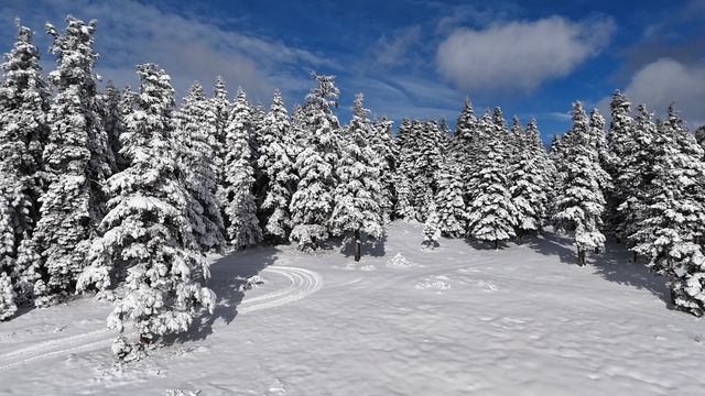 Sinop'tan kar manzaraları