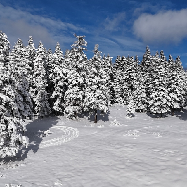 Sinop'tan kar manzaraları