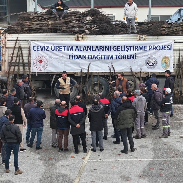 Türkiye'nin ceviz başkenti Denizli'de ceviz fidanı dağıtımı başladı