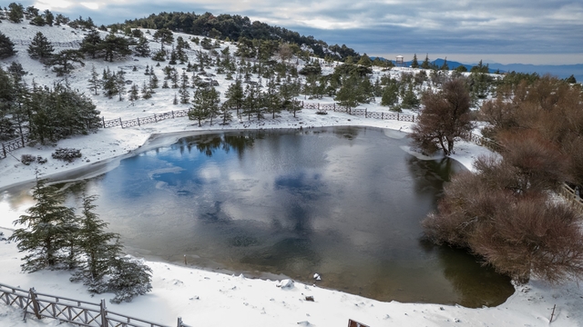 Spil Dağı beyaz gelinliğini giydi
Spil Milli Parkı'nda kartpostallık görüntüler
Köpeklerin yılkı atını kovaladığı anlar dikkat çekti