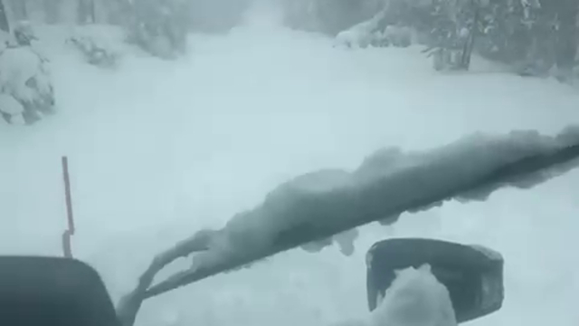 Bolu'da kar kalınlığı yarım metreye ulaştı (2)