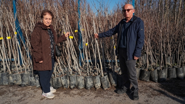 75 üreticiye 3 bin 600 fidan