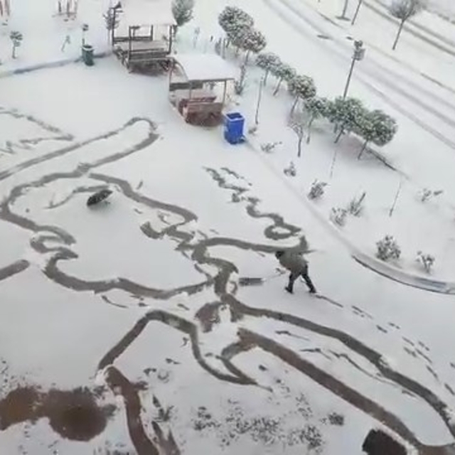 Doğu ve Güneydoğu'da kar etkili oldu (5)