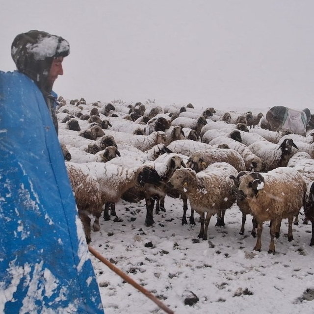 Erzincan yaylalarından köylere uzanan zorlu kış mesaisi
