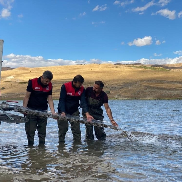 Türkiye nüfusu kadar balık deniz ve göllere bırakıldı