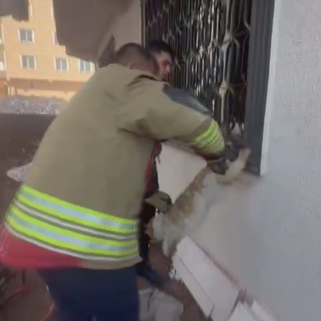 Pencere korkuluğunu sıkışan kediyi itfaiye kurtardı
