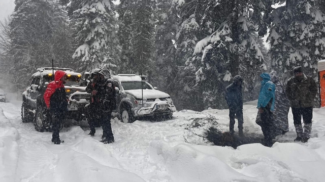 Karabük'te yaylada mahsur kalan 7 kişi kurtarıldı