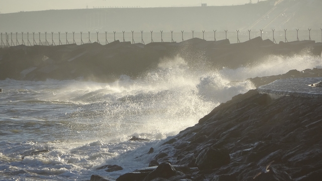 İstavrit hamsiyi tahtından etti
Fırtına nedeniyle balıkçılar denize açılamayınca balık halinde çeşit azalırken, hamsinin yerini tezgahlarda istavrit aldı